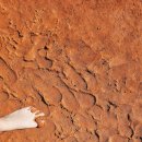 봉재산화장실 이미지