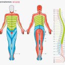 공명주파수 무기(무선주파수-마인드 컨트롤 무기) 이미지