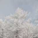 초보산꾼 100대명산 : 태기산 - 풍차와 눈 꽃이 펼치는 색다른 풍경으로의 여행 이미지
