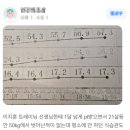 고릴라 멀티짐 이미지