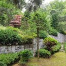 분당-377 이미지