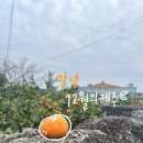 온정목장 | 내가사랑하는제주의장소 제주여행 겨울여행 제주도 맛집 제주도소품샵 원데이클래스 여행지추천 노도...