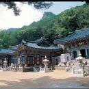 대사동로 이미지