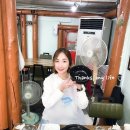 돌아와요속초항