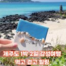이상한나라뷰티 | 제주도1박2일여행후기 ✈️ 우영담부터 한담해변로·제주요트투어까지 알찼던 1일차