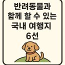 힐링펫샵 | 반려동물과 함께 할 수 있는 국내 여행지 6선 🐶🐾