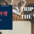 하이원여행㈜ 이미지