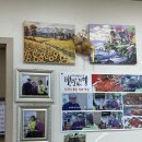 이화1길 이미지