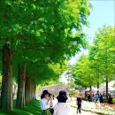 피어나서문점 | 안 아까웠단 '이곳', 7월 순천만국가정원 야간개장 주차 꿀팁까지 총정리", 가족 여행 코스 맛집 후기