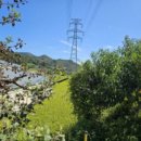 매현보건진료소 이미지