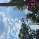 조아하멍 이미지