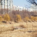 개포이레공인중개사사무소 이미지