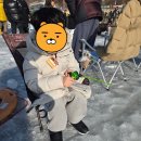 썬파인 | 2026 화천산천어축제 초등아이와 방문후기