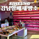 돌핀블루 | 강남할배제빵소 오이도 오션뷰 카페 경기 시흥 대형 베이커리 내돈내산