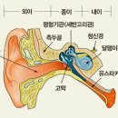 서문한의원 이미지