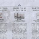 마이제인