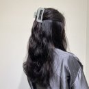 위드지나