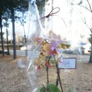 굿모닝신경과의원 이미지