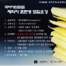 다우디자인