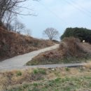 여주-1038 이미지