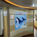 고래바다여행선커피점