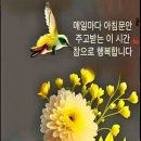 잠언의료기 이미지