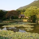 운림산방주차장 이미지