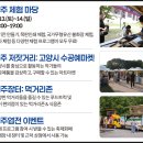비전법무사 | 제38회 고양행주문화제, 올해는 꼭 가보고 싶은 서울 근교 축제