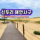 사구센터 전시실 | 태안 신두리 해안사구 해수욕장 사막 둘레길 풍경 주차장 사구센터