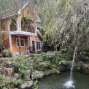 지리산이야기 | 지리산 산청 애견동반펜션 “지리산이야기” 내돈내산 이용후기 (애견동반 무료꿀팁!)