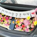 플로피아 이미지