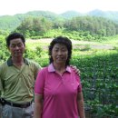 이목리(상)