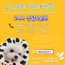 소향로55-15 네이버블로그