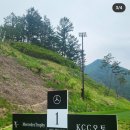 기브코리아 이미지