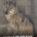 하레하레 늑구빵 대전 빵지순례 포인트, 왜 이렇게 빨리 품절될까