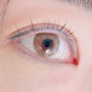 룩옵티컬 현대백화점 천호점 이미지