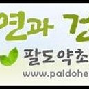 자연과건강 이미지