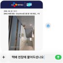 성안나유치원 | 바쁘면서도 한가한 나날