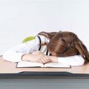 도현초등학교 이미지