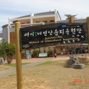 순천만 숲5 이미지