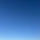 일산도장 이미지