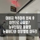 세브란스어린이집 | [ 원주세브란스병원 ] 간호통합병실 수술 보호자 후기 &amp; 이천 눈부신일상 돌촬영 재촬영