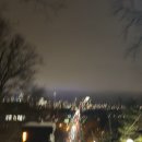 토론토 캣 이미지