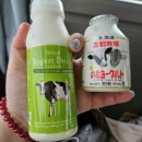 눈 앞에 펼쳐지다(비에이투어, 준페이식당, 크리스마스트리, 탁신관 갤러리, 사계채 언덕, 흰수염 폭포)