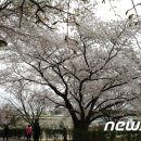 북일고등학교 이미지