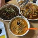 독도반점