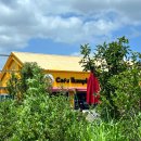 팽성남로 이미지