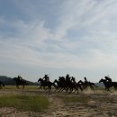 자인군부대 이미지