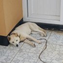 연우네민박 이미지