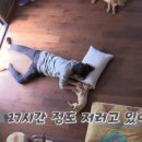 좋은하루민박 이미지